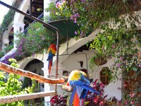 2011024390 Chichicastenango - Guatemala