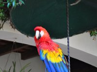 2011024398 Chichicastenango - Guatemala