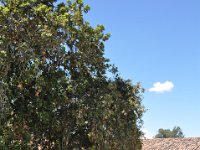 2011024421 Chichicastenango - Guatemala