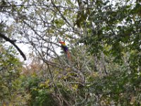 2011024127 Copan - Antiqua - Guatemala