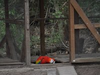 2011024133 Copan - Antiqua - Guatemala