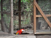 2011024134 Copan - Antiqua - Guatemala