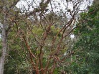 2011024159 Copan - Antiqua - Guatemala