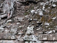 2011024161 Copan - Antiqua - Guatemala