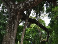2011024224 Copan - Antiqua - Guatemala