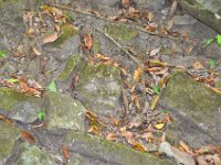 2011024227 Copan - Antiqua - Guatemala