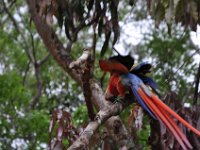 2011024309 Copan - Antiqua - Guatemala