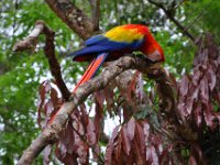 2011024311 Copan - Antiqua - Guatemala