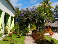 2011024340 Copan - Antiqua - Guatemala