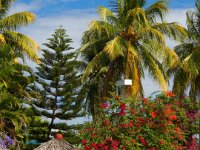 2011024341 Copan - Antiqua - Guatemala