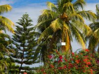 2011024342 Copan - Antiqua - Guatemala