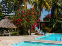 2011024343 Copan - Antiqua - Guatemala