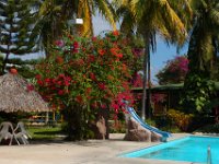 2011024344 Copan - Antiqua - Guatemala