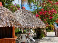 2011024347 Copan - Antiqua - Guatemala