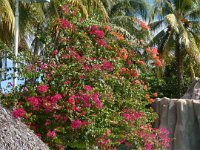 2011024351 Copan - Antiqua - Guatemala