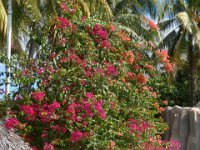 2011024352 Copan - Antiqua - Guatemala