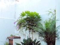 2011024358 Copan - Antiqua - Guatemala