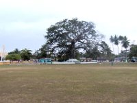 2011023270 Flores - Guatemala