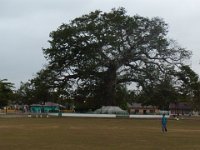 2011023273 Flores - Guatemala