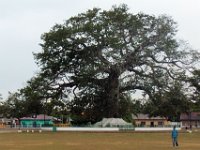 2011023274 Flores - Guatemala