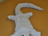 2011023282 Flores - Guatemala