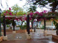 2011023298 Flores - Guatemala