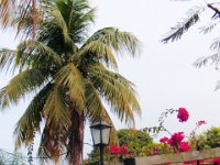 2011023300 Flores - Guatemala