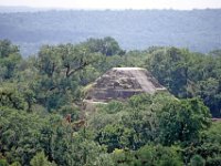 2011029508 Tikal - Guatemala