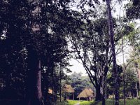 2011024052 Quirigua - Guatemala