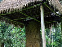 2011024081 Quirigua - Guatemala