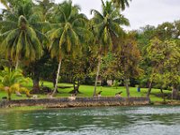 2011023865 Rio Dulce - Guatemala