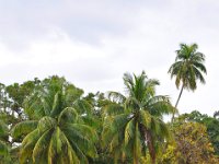 2011023867 Rio Dulce - Guatemala