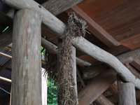 2011023946 Rio Dulce - Guatemala