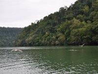 2011023950 Rio Dulce - Guatemala