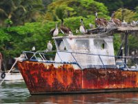 2011023960 Rio Dulce - Guatemala