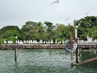 2011024008 Rio Dulce - Guatemala