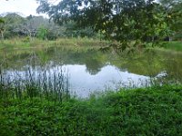 2011023658 Tikal - Guatemala