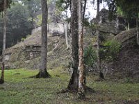 2011023742 Tikal - Guatemala