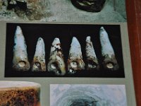 2011023761 Tikal - Guatemala