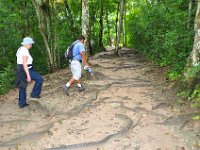 2011023836 Tikal - Guatemala
