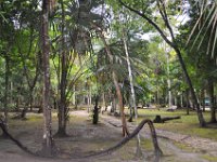 2011023838 Tikal - Guatemala