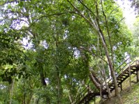 2011023538 Yaxha - Guatemala