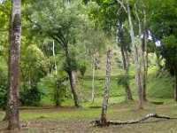 2011023555 Yaxha - Guatemala