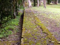 2011023558 Yaxha - Guatemala