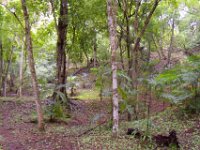 2011023595 Yaxha - Guatemala