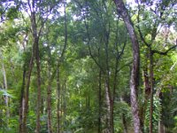 2011023598 Yaxha - Guatemala