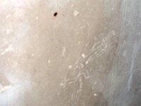 2011023628 Yaxha - Guatemala