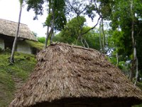 2011023633 Yaxha - Guatemala