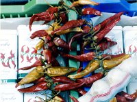 1993071196 Darrel & Betty Hagberg - Eastern European Vacation