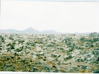 1995051534 Darrel Betty Darla Hagberg - May 15-31 - Baltimore Belgium Ireland Iceland